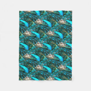 Vibrant Blue Peacock In With Fanned Tail Fleece Blanket