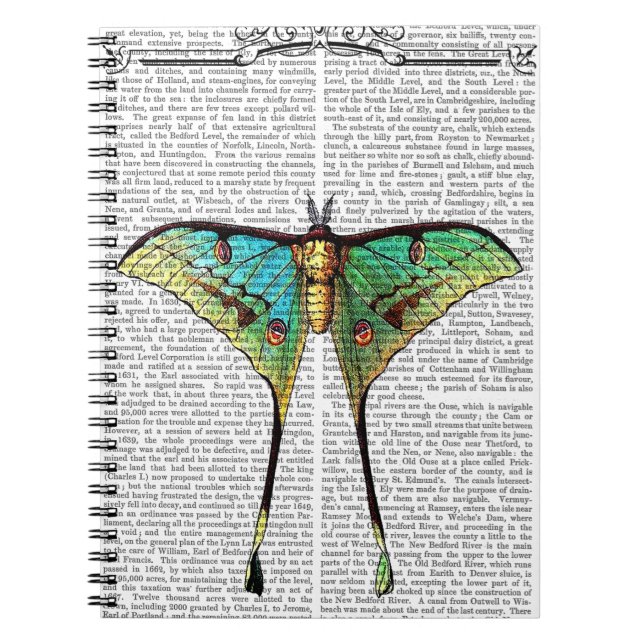 Vibrant Butterfly Notebook (Front)