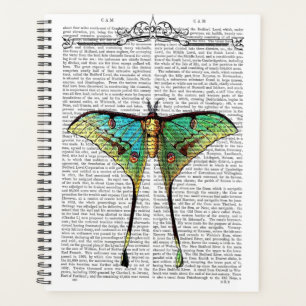 Vibrant Butterfly Planner