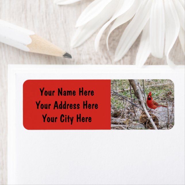 Vibrant Cardinal (Insitu)