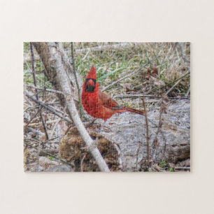 Vibrant Cardinal Jigsaw Puzzle