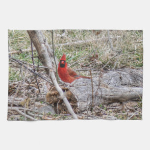 Vibrant Cardinal Kitchen Towel
