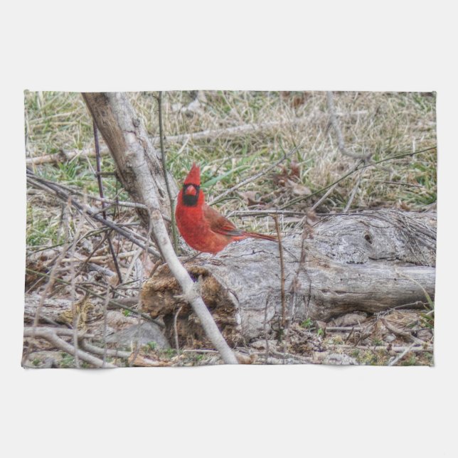Vibrant Cardinal Kitchen Towel (Horizontal)