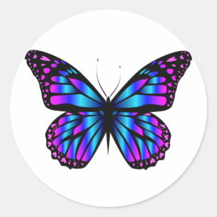 vibrant color butterfly  classic round sticker