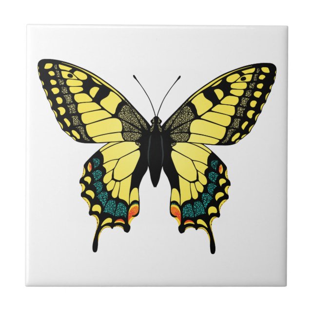 vibrant colour butterfly tile (Front)
