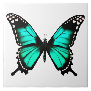 vibrant colour butterfly tile