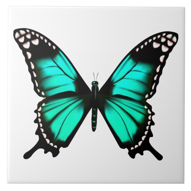 vibrant colour butterfly tile (Front)