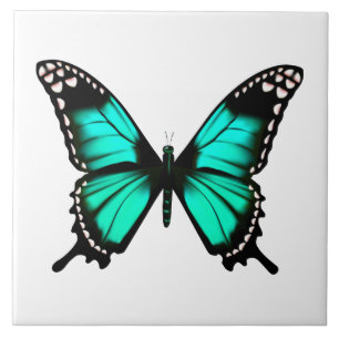 vibrant colour butterfly tile