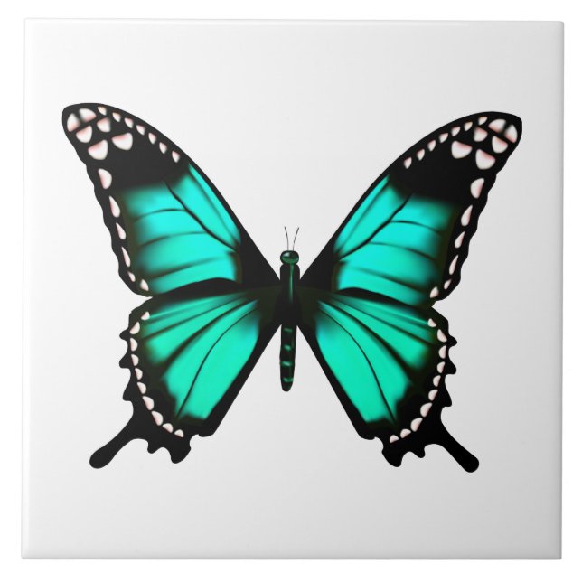 vibrant colour butterfly tile (Front)