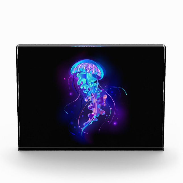 Vibrant Colour Glowing Jellyfish Photo Block (Front)