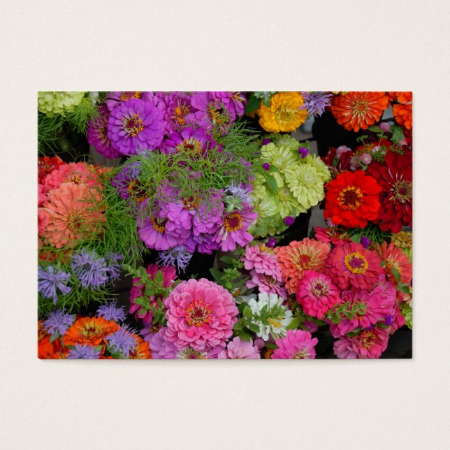 Vibrant coloured daisies (Front)