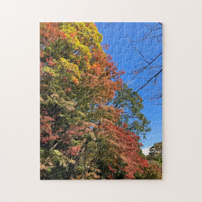 Vibrant Coloured Maples Jigsaw Puzzle (Vertical)