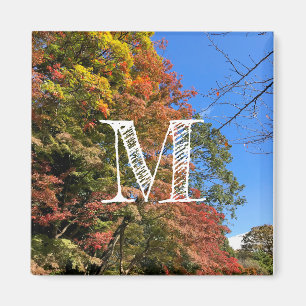 Vibrant Coloured Maples Magnet