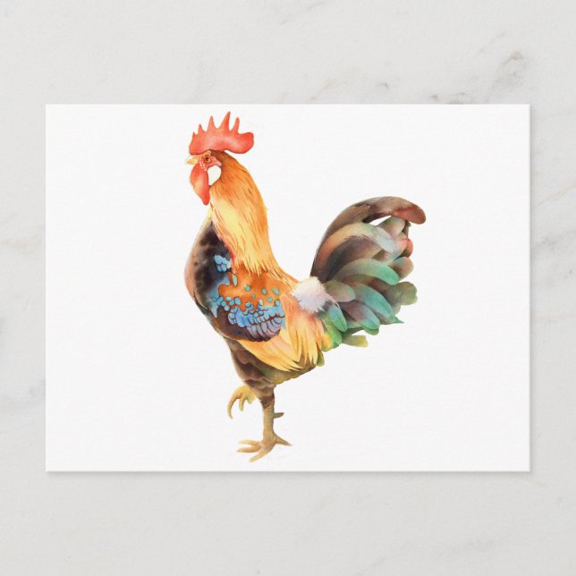 Vibrant coloured Rooster Postcard (Front)