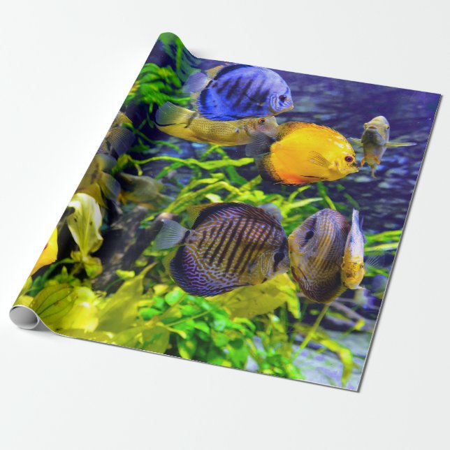 Vibrant Colourful Aquatic Tropical Sea Fish Wrapping Paper (Unrolled)