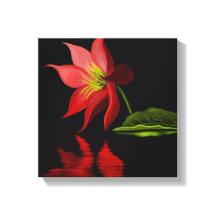 Vibrant Colourful Lily Pond Wrapped Canvas