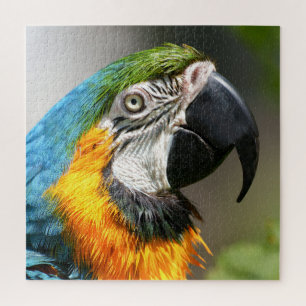 Vibrant Colourful Macaw Jigsaw Puzzle