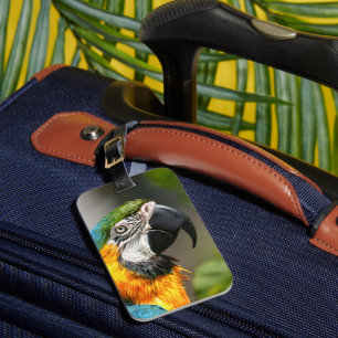 Vibrant Colourful Macaw Luggage Tag