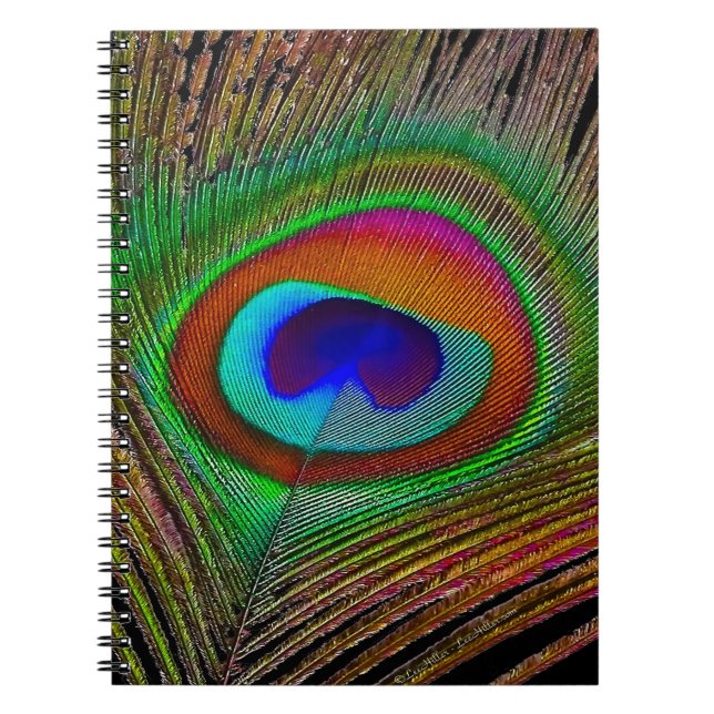 Vibrant Copper Peacock Feather Notebook (Front)