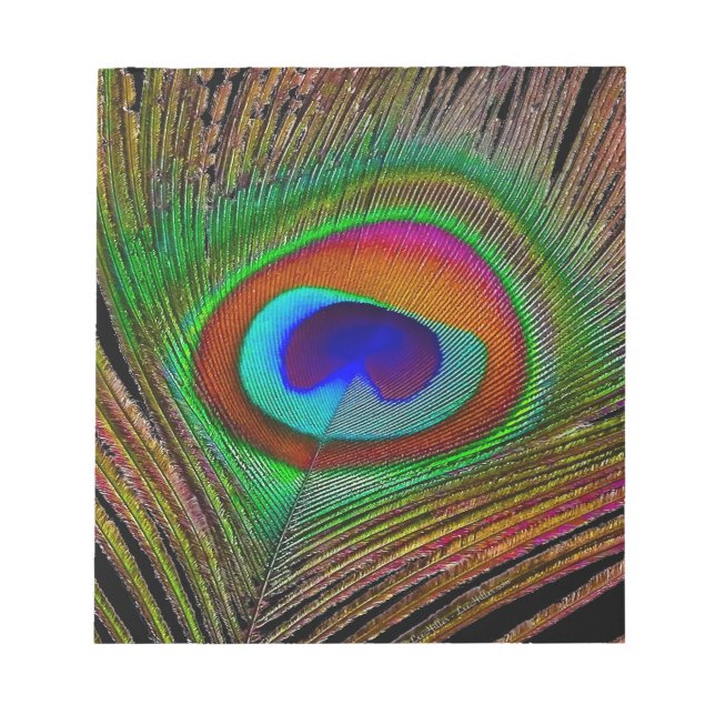 Vibrant Copper Peacock Feather Notepad (Front)