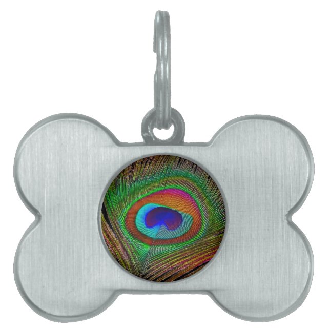 Vibrant Copper Peacock Feather Pet ID Tag (Front)
