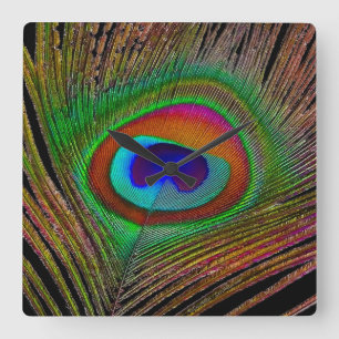 Vibrant Copper Peacock Feather Square Wall Clock