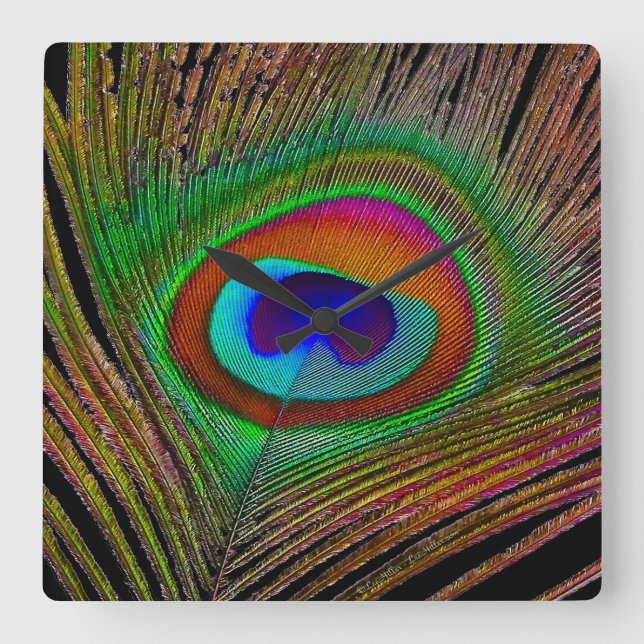Vibrant Copper Peacock Feather Square Wall Clock (Front)