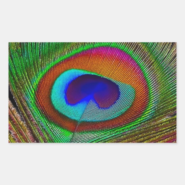 Vibrant Copper Peacock Feather Sticker (Front)