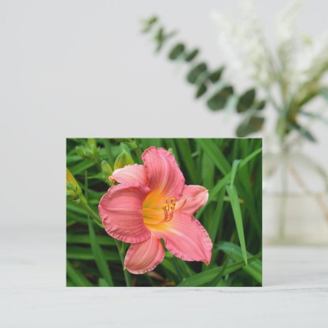 Vibrant daylily flower postcard (Standing Front)