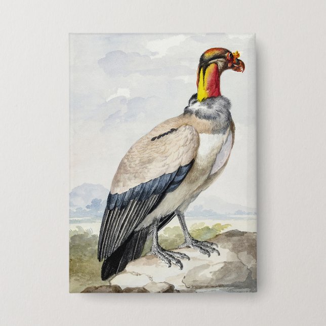 Vibrant Exotic King Vulture Wall Decor (Front)