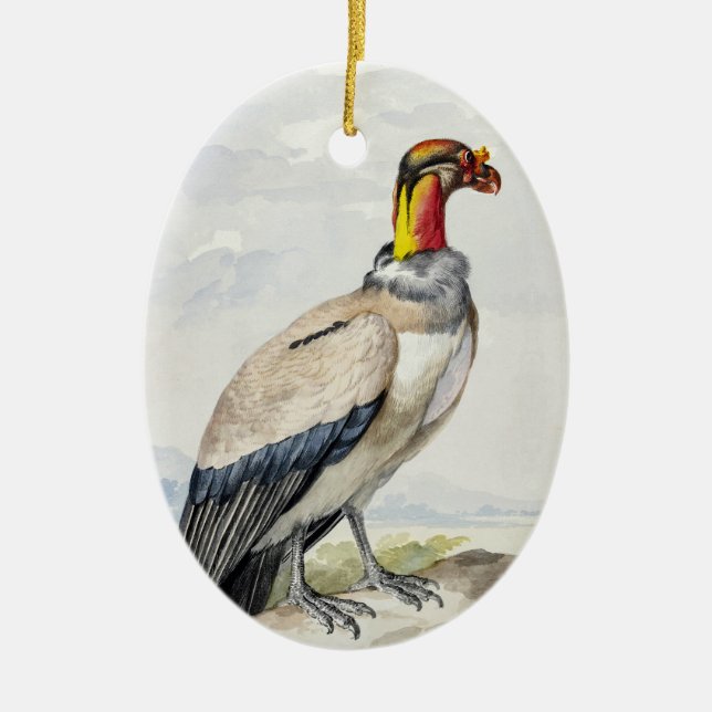 Vibrant Exotic King Vulture Wall Decor Ceramic Ornament (Front)