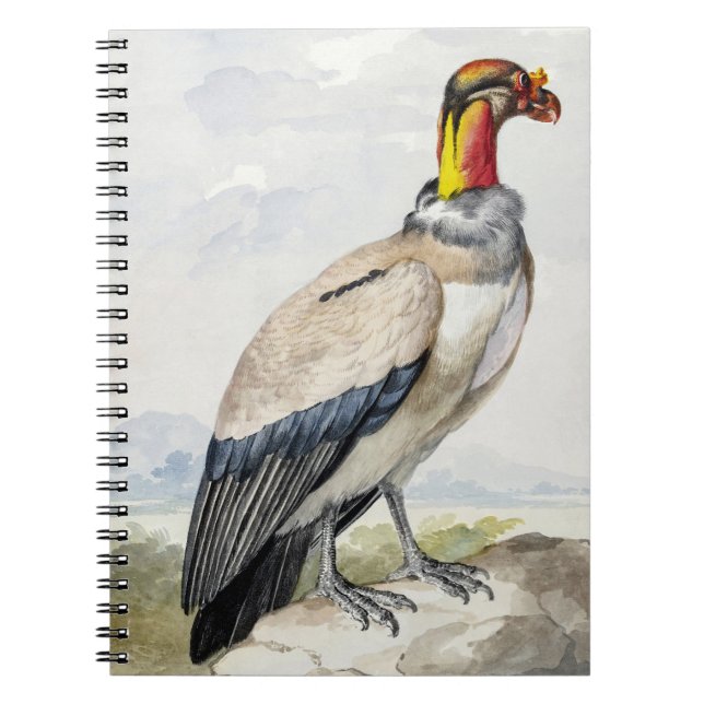 Vibrant Exotic King Vulture Wall Decor Notebook (Front)