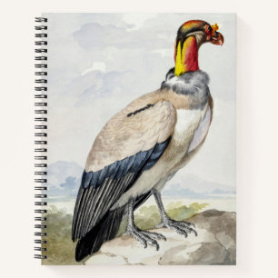 Vibrant Exotic King Vulture Wall Decor Notebook