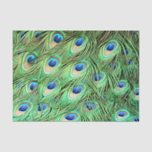 Vibrant Exotic Peacock Feathers Tissue Paper