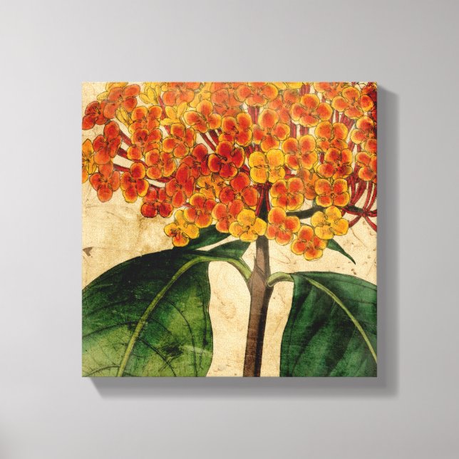 Vibrant Floral I Canvas Print (Front)