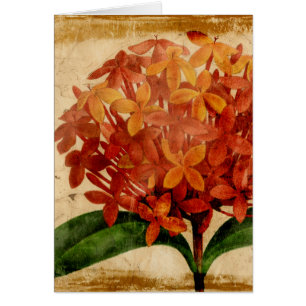 Vibrant Floral III