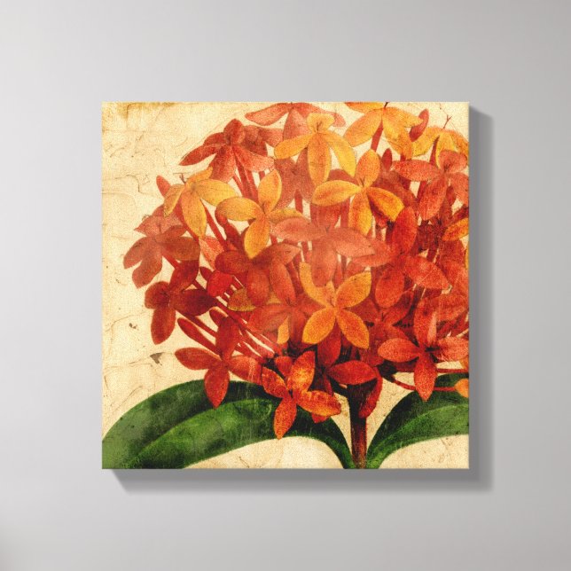 Vibrant Floral III Canvas Print (Front)
