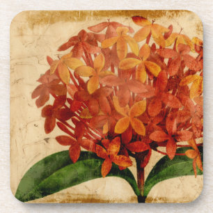Vibrant Floral III Coaster