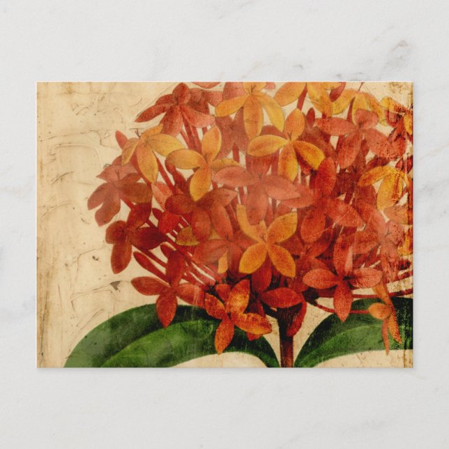 Vibrant Floral III Postcard (Front)