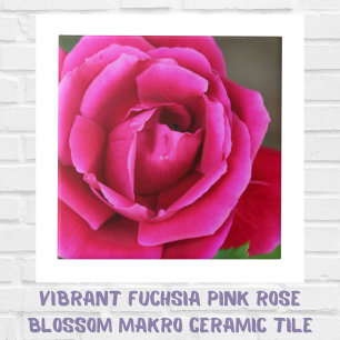 Vibrant Fuchsia Pink Rose Blossom Makro Tile