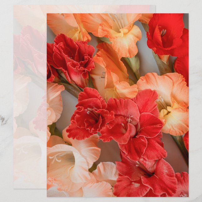 Vibrant Gladiolus Flowers Scrapbook Paper (Front/Back)