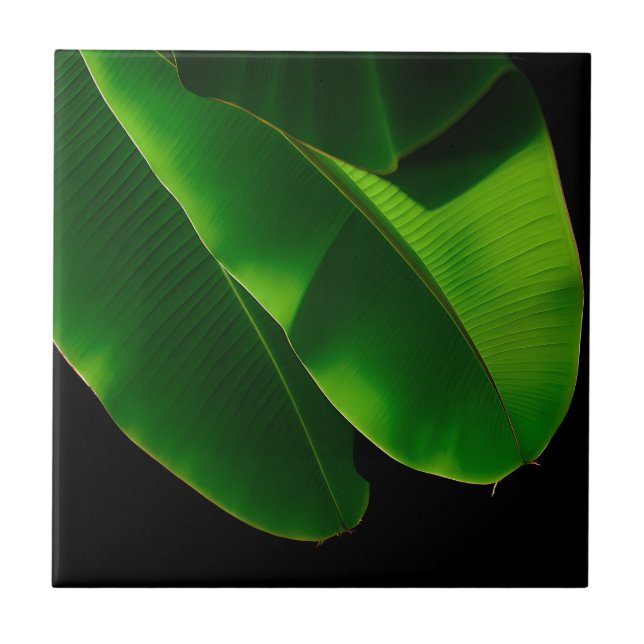 Vibrant Green Banana Leaf Tropical Closeup Tile (Front)