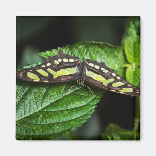 Vibrant Green Magnet