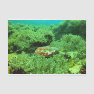 Vibrant Green Ocean Coral and Sea Turtle Tissue Paper