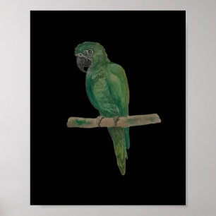 Vibrant Green Parrot – Hand-painted Watercolor Art Poster