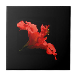 Vibrant Hibiscus Flower Tile