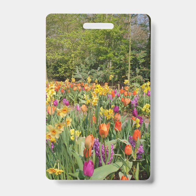Vibrant Holland Tulip Garden Badge (Front)