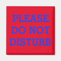 VIBRANT METAL DOOR MAGNET "DO NOT DISTURB"