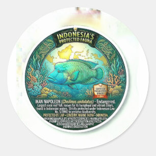 Vibrant Napoleon Fish Art - Rare Indonesian Coral  Classic Round Sticker