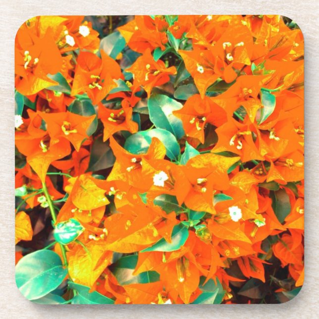 Vibrant Orange Bougainvillea Flowers Coaster (Front)